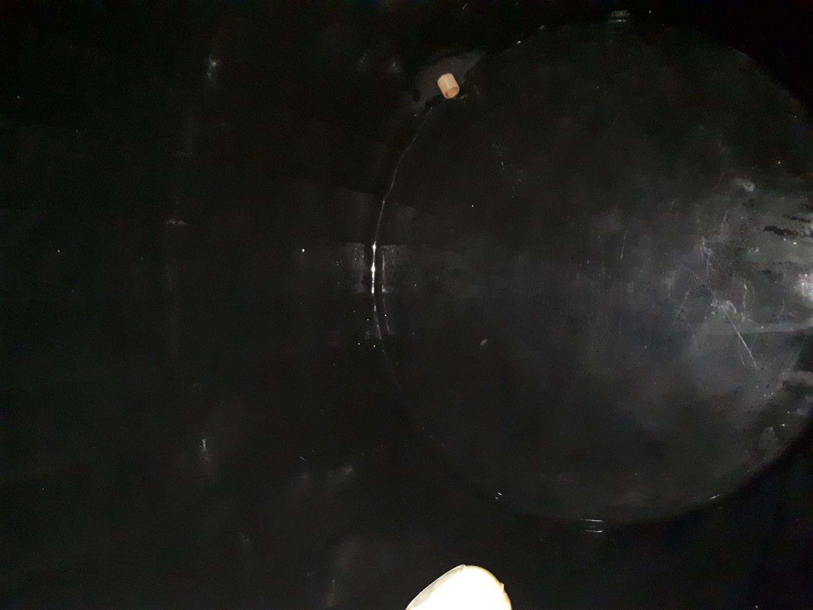 Especialista em Controle de Pragas