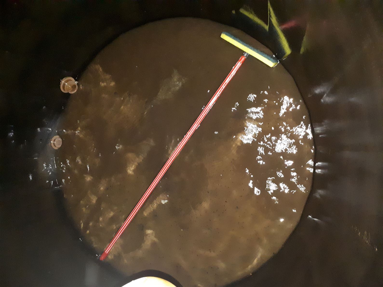 Especialista em Controle de Pragas