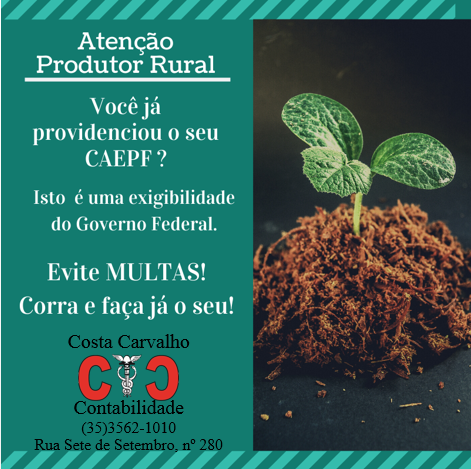 Costa Carvalho Contabilidade