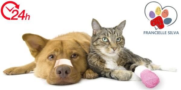 Em situações de emergência em cães e gatos, tente manter a calma e procure o auxílio veterinário o mais rápido possível. 

Atendimento 24 horas, incluindo os finais de semana!! 

35 9 9221 5621
