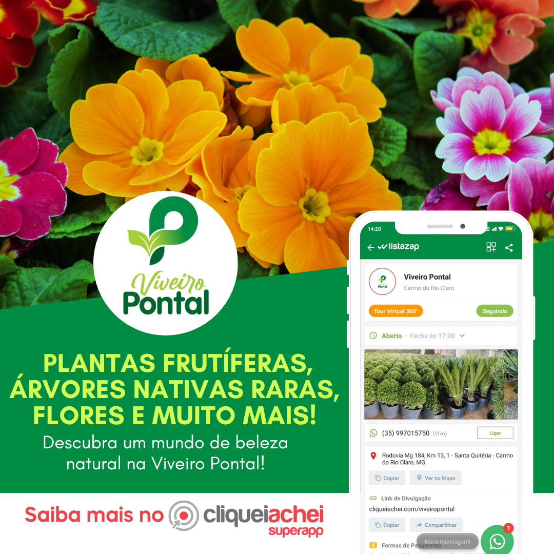 Visite a Viveiro Pontal e embarque nessa jornada verde rumo à harmonia com o meio ambiente.