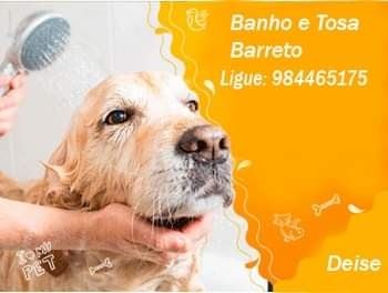 Banho e Tosa
Barreto
✂️Tosa
🐶🐱Produtos pet
📍Rua Tenente Jose Joaquim 912
📖Agende seu horário ⬇️ 35984465175  
🤣🤣🤣🤣🤣🤣📞📞📞📞📞☎️☎️☎️☎️