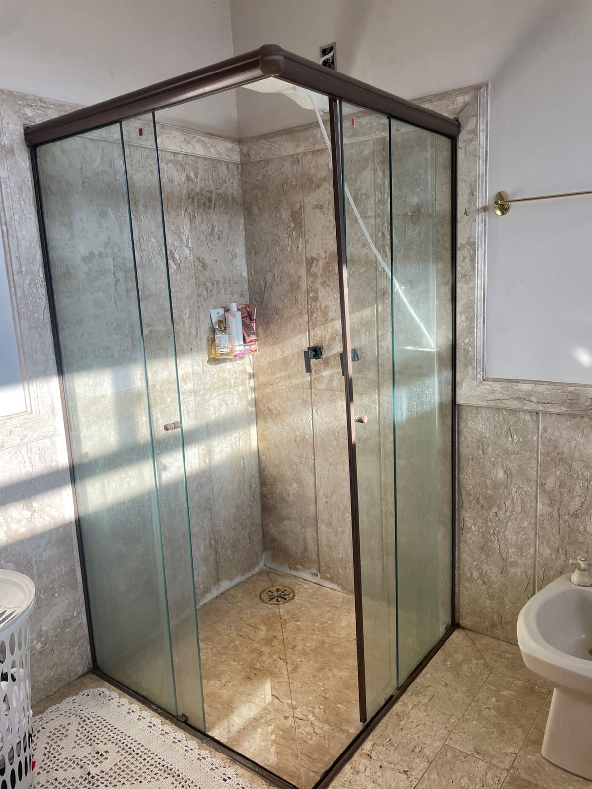 Portas de Blindex Sanimax - Manutenção em Portas e Box