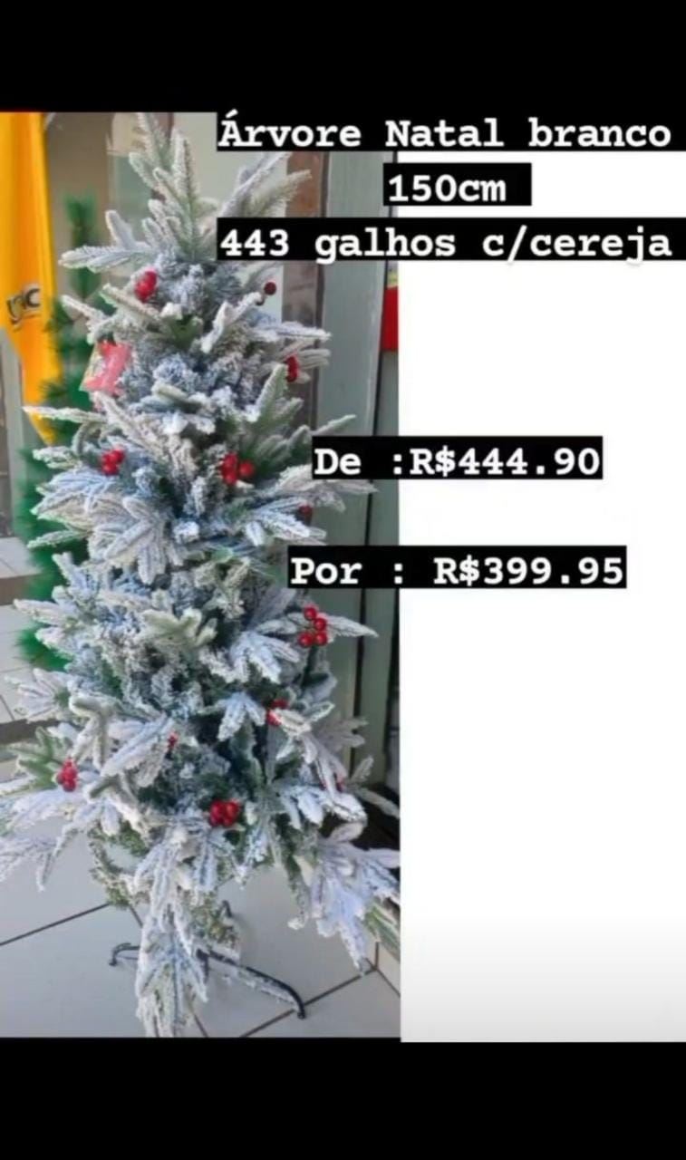 é hora de comprar sua árvore de natal!