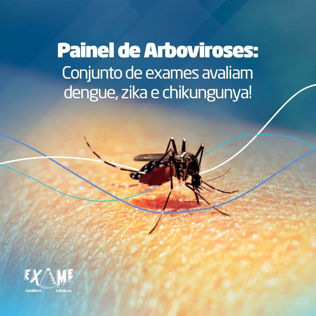 Exame Análises Clínicas