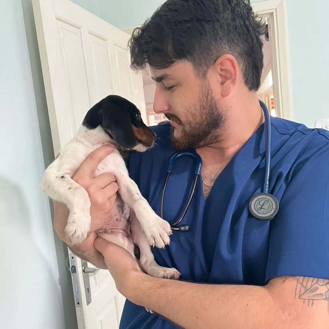 Center Vet Consultório Veterinário