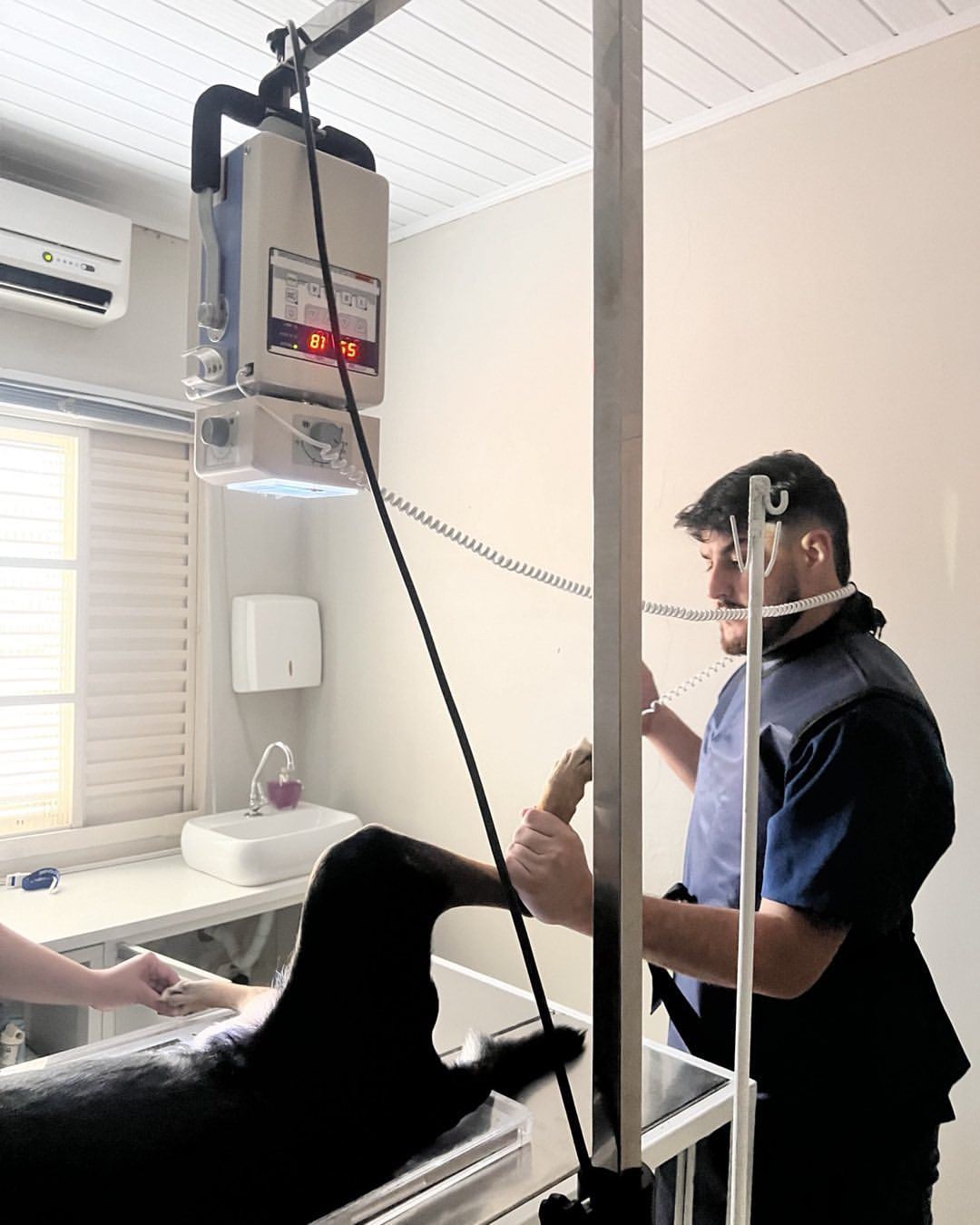 Center Vet Consultório Veterinário