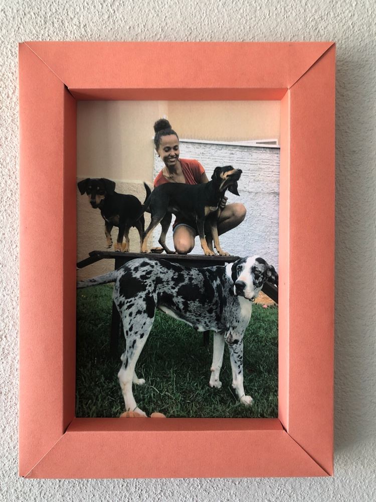 Au-Q-Mia Consultório Veterinário
