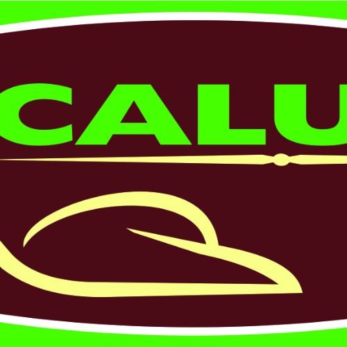 Calusa Calçados Ltda