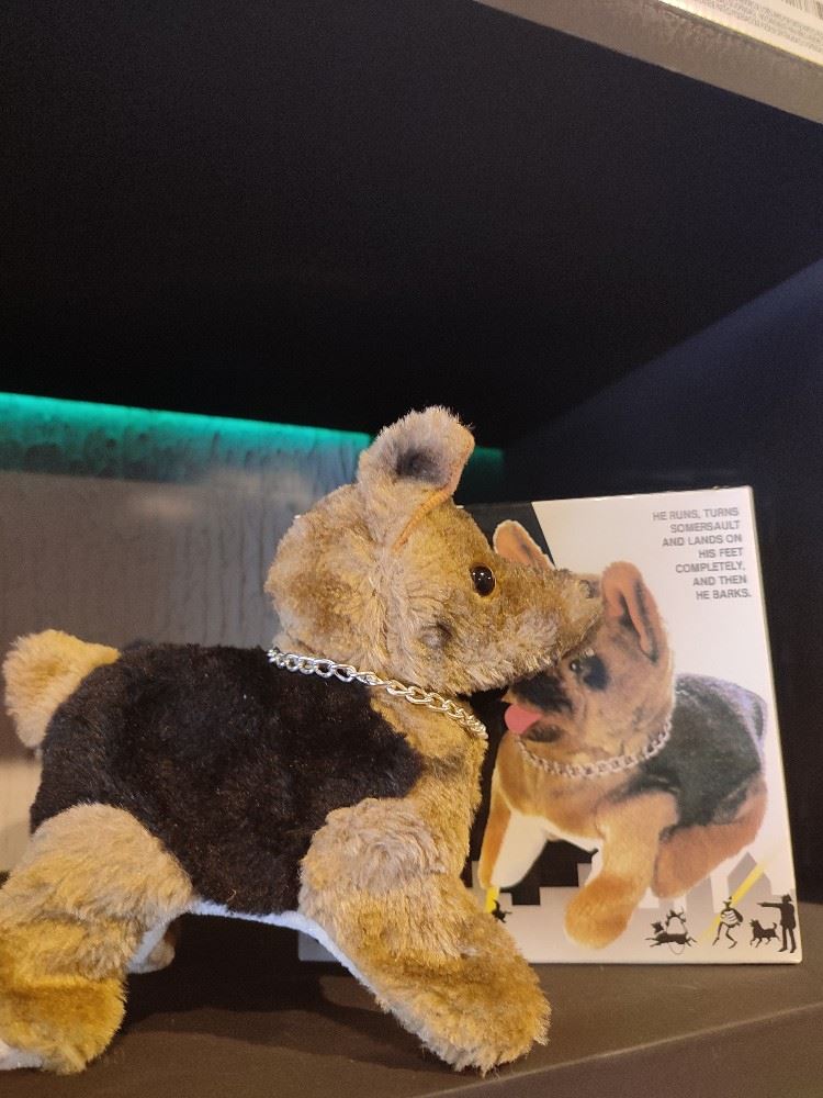 Cachorro de pelúcia (late e da cambalhota) R$40,00