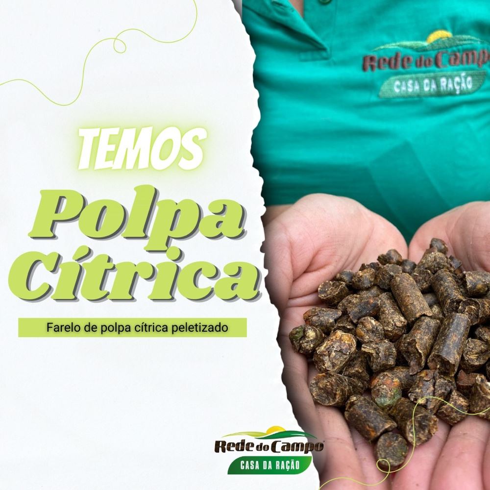 Chegou polpa cítrica , ótimo preço 