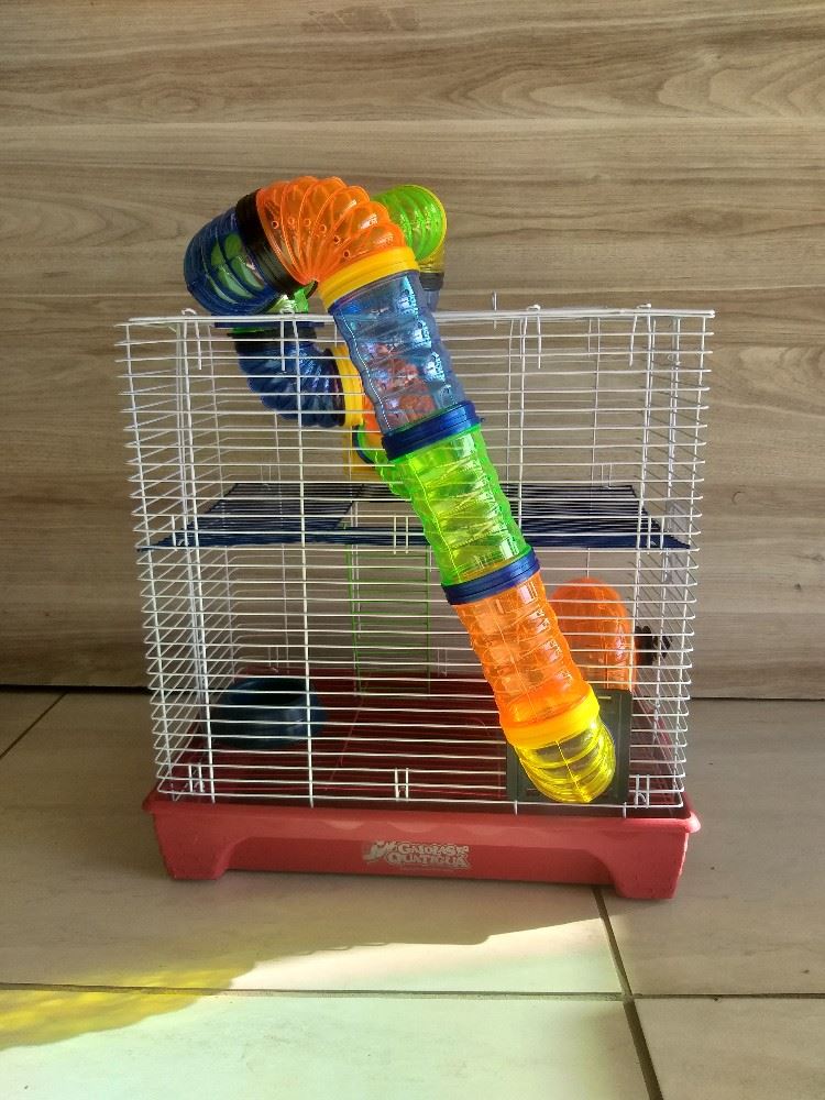 Gaiolas para hamster 