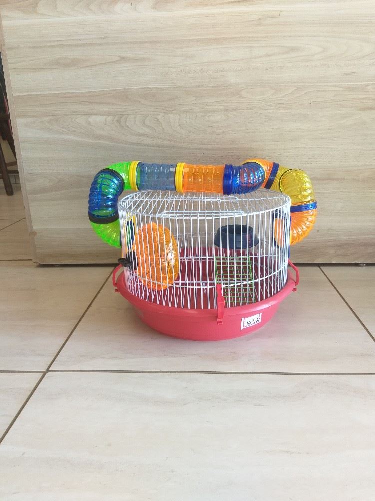 Gaiolas para hamster 