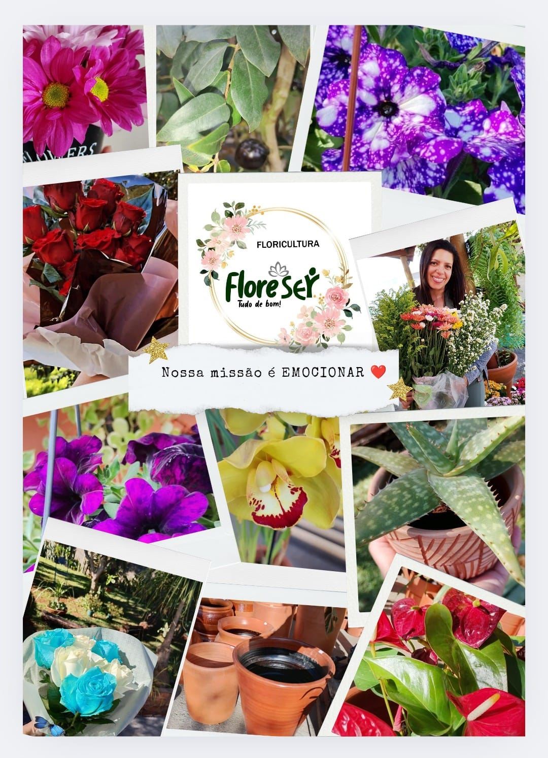 Floricultura Flore Ser - Passos/MG