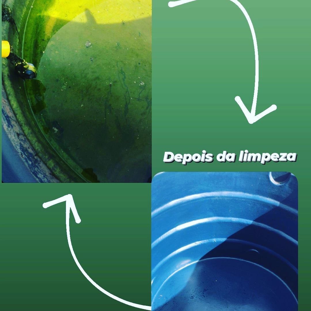 Dedetizadora Higiplim em Inocencia MS
