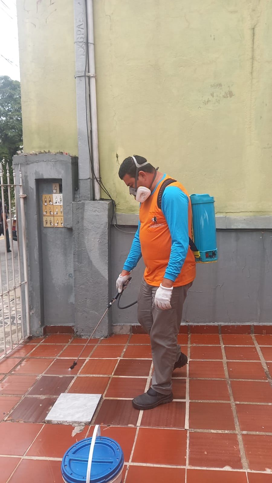 Dedetizadora Higiplim em Inocencia MS