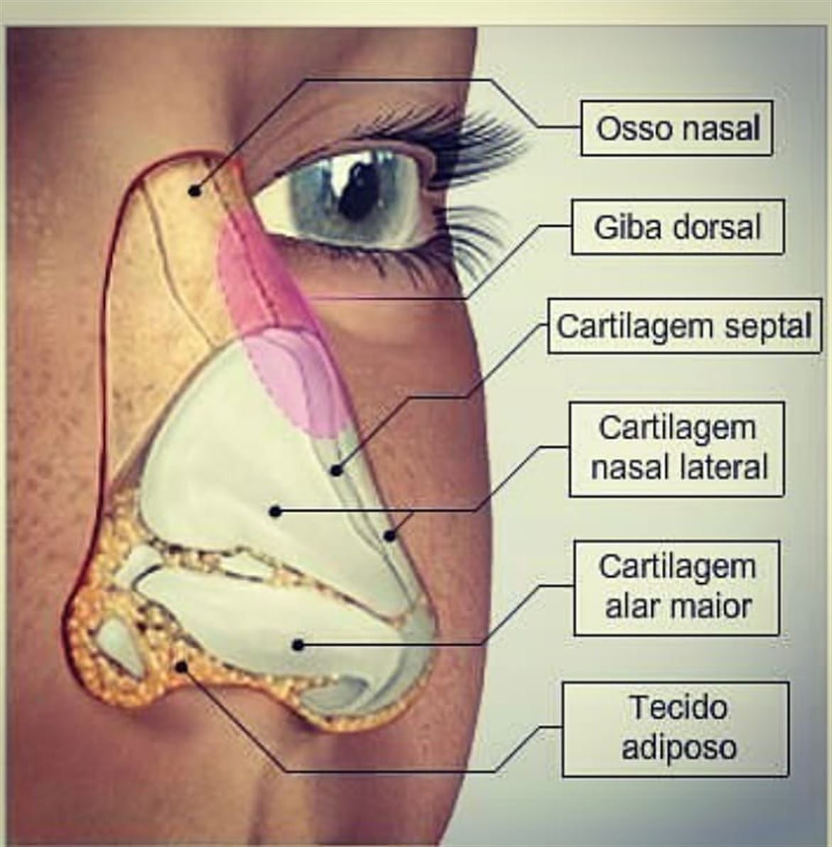 Dr Junior (João de Oliveira Terra) Ortopedista e Reumatologia, Piumhi, MG, (37) 33713*4