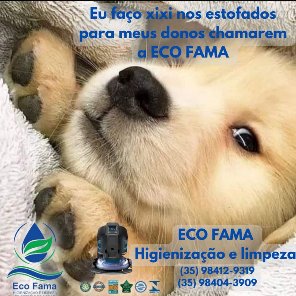 A ECO FAMA Higienização e limpeza de estofados a seco.
Levamos para a sua residência e trabalho uma higienização de nível hospitalar, garantindo uma prevenção contra alergias respiratórias e cutâneas causadas por ÁCAROS, VÍRUS, FUNGOS E BACTÉRIAS graças a eficiência de 99,97% em remoção desses germes dos estofados e do ambiente.

Garanta uma higienização de alto nível em seus estofados. 

Chame agora mesmo a ECO FAMA (35) 98412-9319 ou (35) 98404-3909 

Atendimento em Alfenas e região.