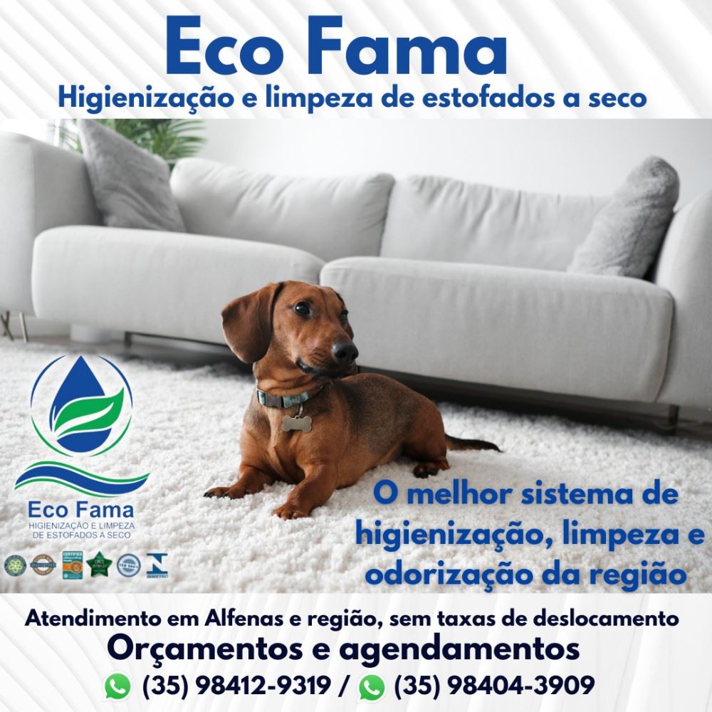 Chegar em casa e encontrar xixi do seu pet no sofá e no tapete da sala é bastante desagradável e depois de seco o cheiro pode ficar impregnado, além de deixar manchas que podem se tornar irreversíveis.

Não se preocupe, nós da Eco Fama removemos 100% dos maus odores deixando os estofados novos de novo e o melhor, sem ácaros, vírus, fungos e bactérias. 

Contrate agora mesmo os nossos serviços. 

Orçamentos e agendamentos pelo Whatsapp: 
(35) 98412-9319 / (35) 98404-3909