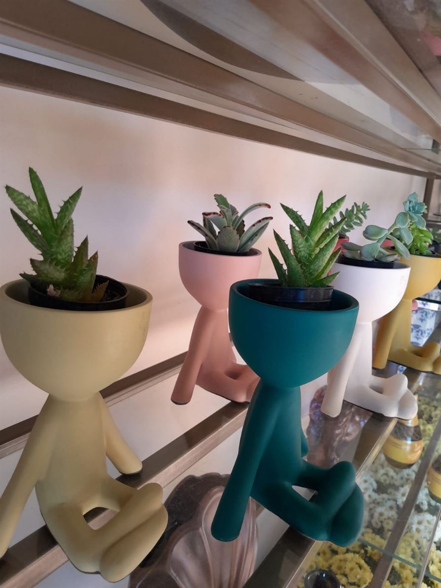 Floricultura e Presentes Santo Antonio