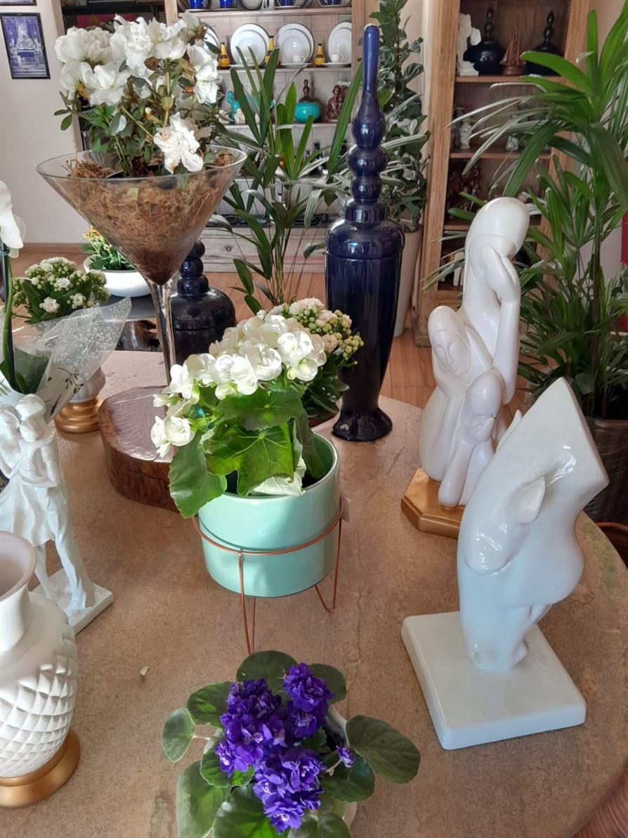 Floricultura e Presentes Santo Antonio