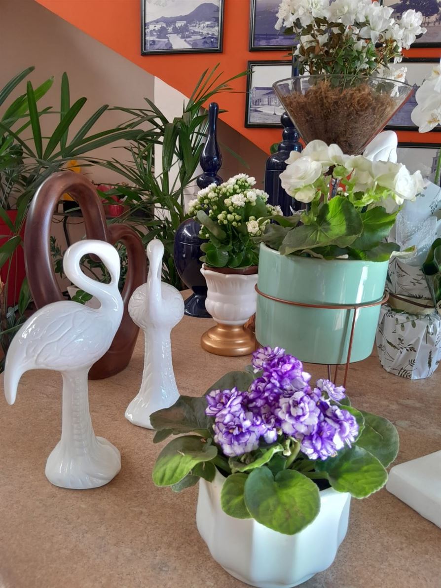 Floricultura e Presentes Santo Antonio