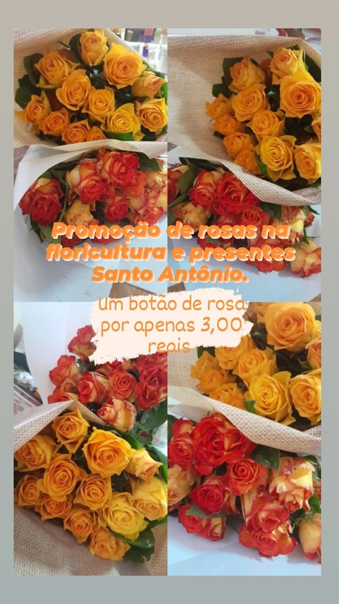 Floricultura e Presentes Santo Antonio