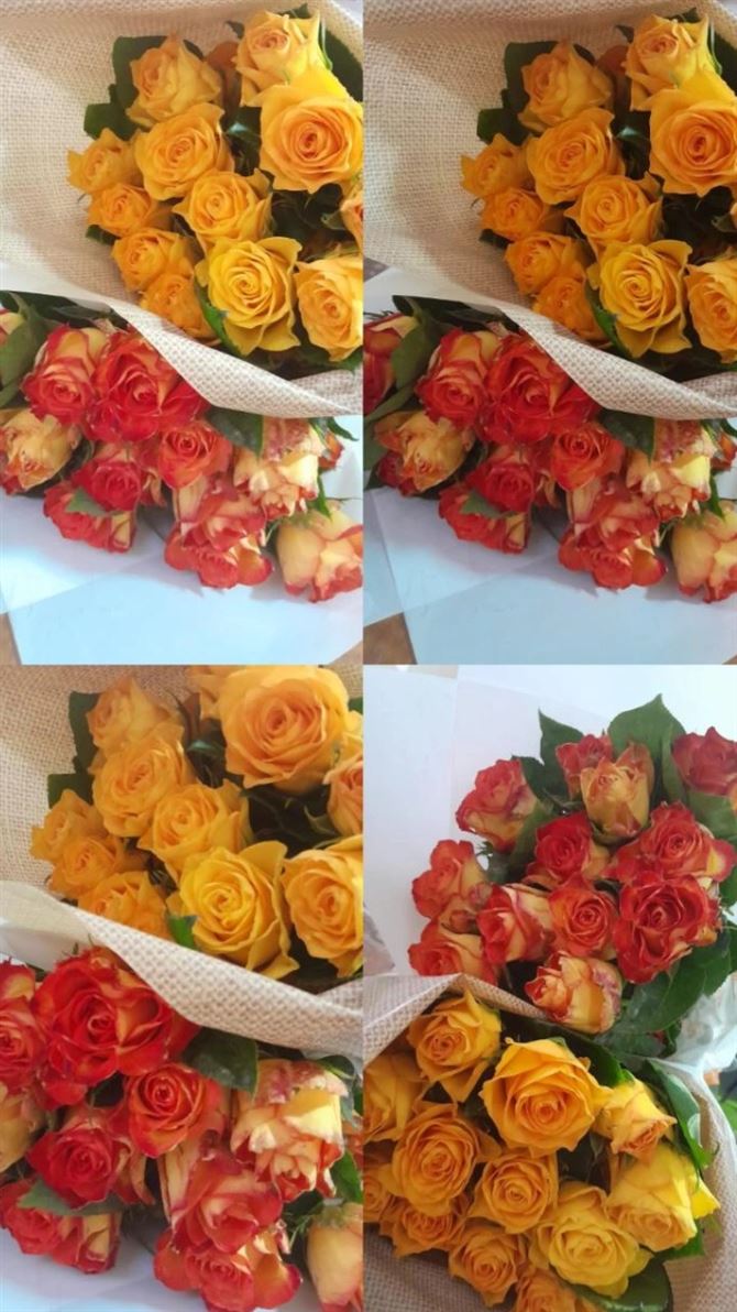 Floricultura e Presentes Santo Antonio