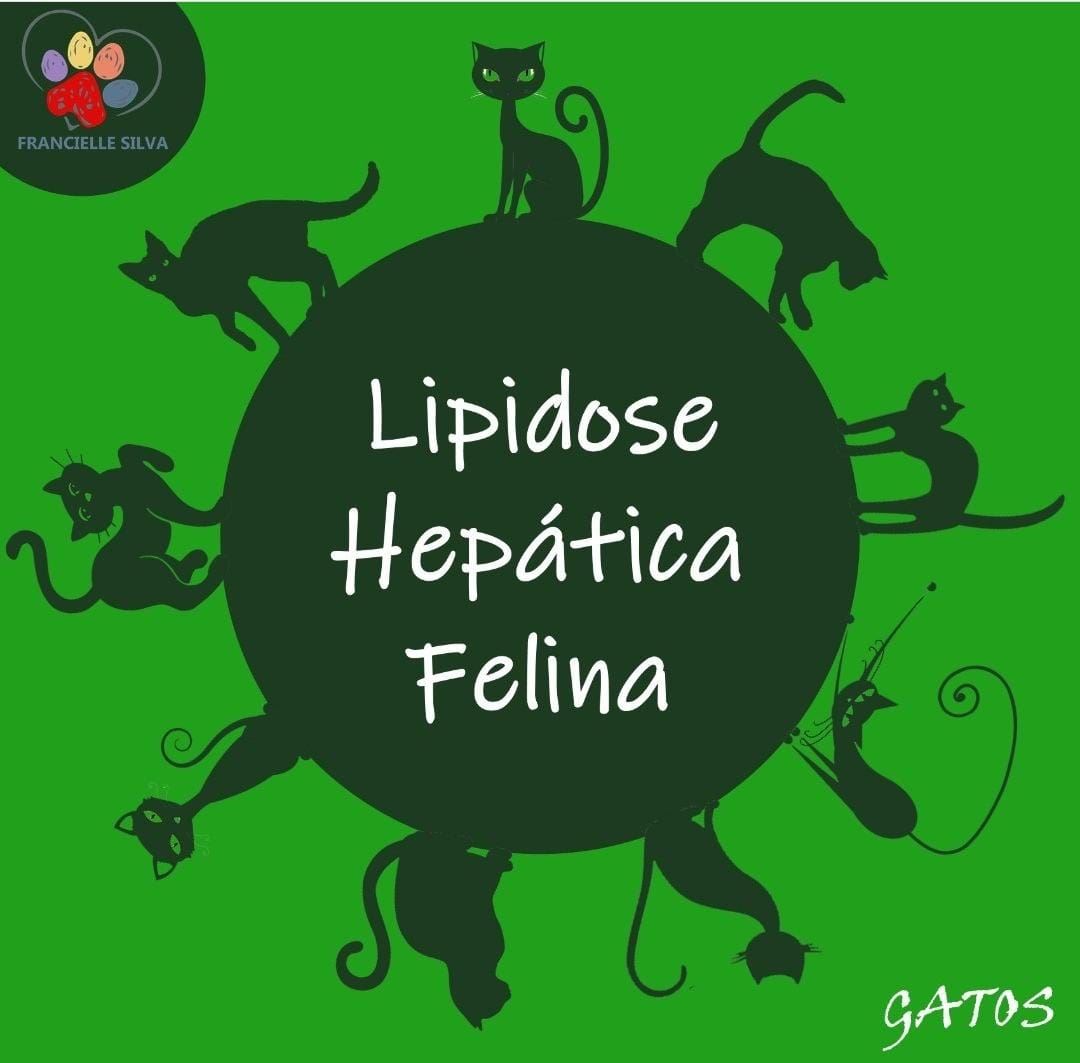 Lipidose Hepática Felina  ? Desordem adquirida do metabolismo resultando em acúmulo de gordura no fígado (reversível) em um grau capaz de resultar em disfunção e insuficiência hepática grave, no qual sem tratamento pode ser fatal. ? Causas: • Má nutrição, • Doenças sistêmicas como diabetes mellitus, colangite, pancreatite, doença renal crônica, neoplasias, outras doenças gastrintestinais,
• Obesidade,
• Idiopática,
• Qualquer condição que cause anorexia. ? Sinais clínicos: • Letargia, depressão, fraqueza,
• Desidratação,
• Icterícia marcante (animal começa a ficar amarelo),
• Vômito,
• Diarreia / constipação,
• Perda de peso,
• Sinais de encefalopatia hepática: vômito, salivação, depressão mental severa.  Se seu felino apresenta esses sinais clínicos, procure um médico veterinário o mais rápido possível. Quanto mais cedo começar o tratamento, melhor é o prognóstico.
