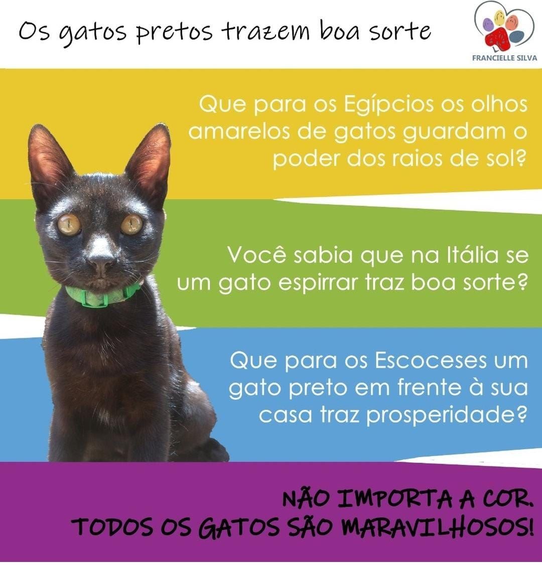 Ainda vão dominar o mundo!