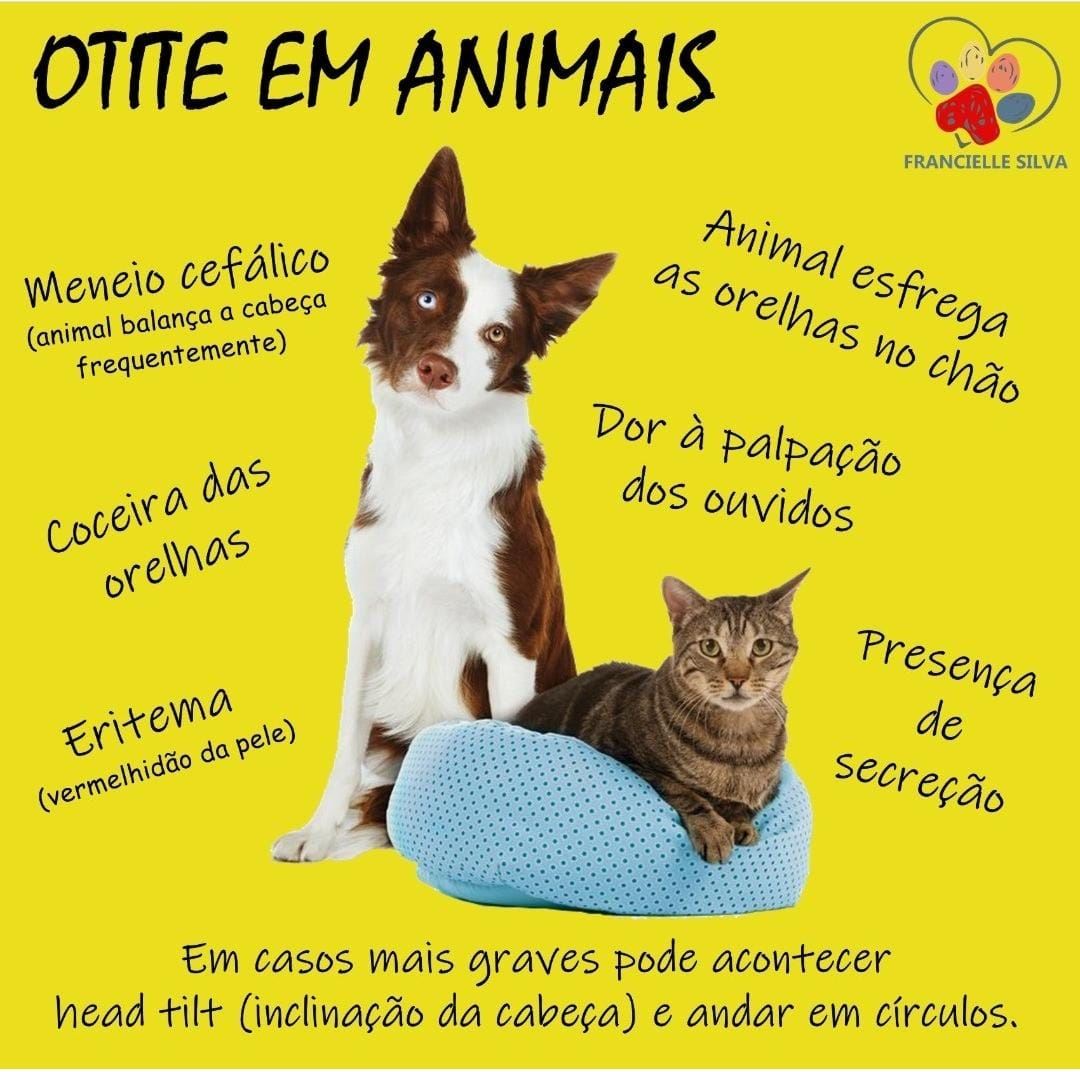 OTITE EM ANIMAIS É um processo inflamatório e/ou infeccioso dos ouvidos. Como causa podemos ter fungos, parasitas ou bactérias. Em 80% dos casos a otite é secundária, por isso é preciso descobrir a causa base. Devido a proximidade de algumas estruturas com o cérebro, otites podem causar
lesões neurológicas.  Se seu pet apresenta esses sinais clínicos, procure um médico veterinário o mais rápido possível.
