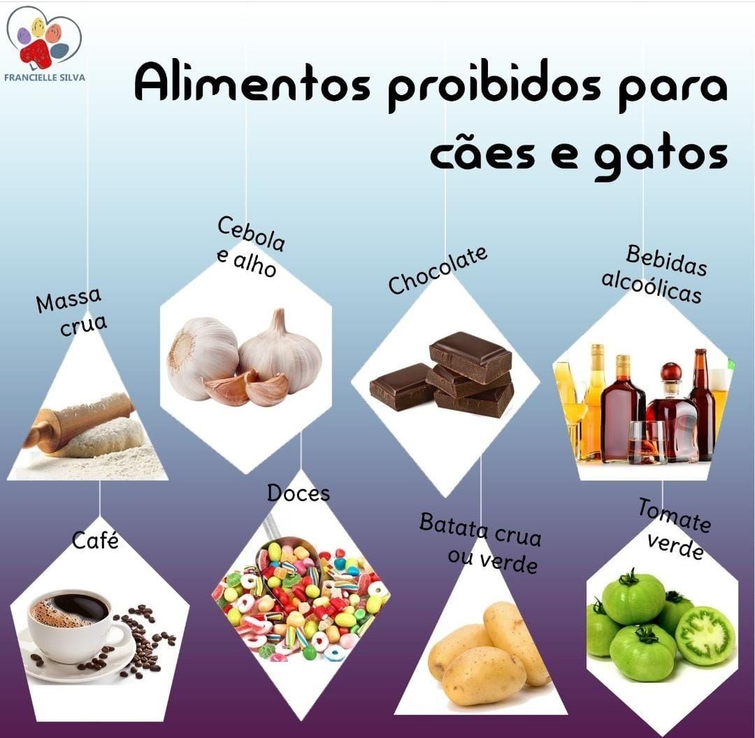 Alimentos proibidos para cães e gatos Massa crua - O fermento contido nos ingredientes após ingerido pode se expandir causando até mesmo ruptura do estômago e intestino. Cebola e alho - O Alho destrói as células vermelhas do sangue do seu pet e junto a cebola podem causar uma anemia severa. Chocolate - Possui a teobromina que é tóxico para os pets. Sua ingestão, mesmo em pequenas quantidades, causa diarreia, vômito, dificuldade respiratória e até mesmo a morte. Bebidas alcoólicas - Animais podem entrar em coma.
Café - Além de ter cafeína, um estimulante cardíaco, contém xantinas que causam danos ao sistema urinário e nervoso. Doces - A maioria deles possui xilitol em sua composição, um adoçante dietético que leva a graves danos no fígado e até a morte.  Batata crua ou verde - A solanina, presente também em outros tuberculos crus, é uma substância tóxica que pode causar depressão no sistema nervoso central e distúrbios gastrointestinais.  Tomate verde - Possui também a solanina.