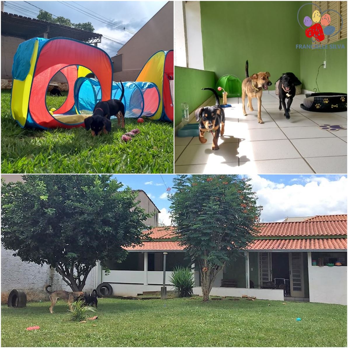 Hospede seu cão conosco. Aqui ele tem toda a supervisão necessária, muito espaço para brincar, correr e se divertir. Seu pet fica solto e não preso em baias. Reserva já uma vaga!