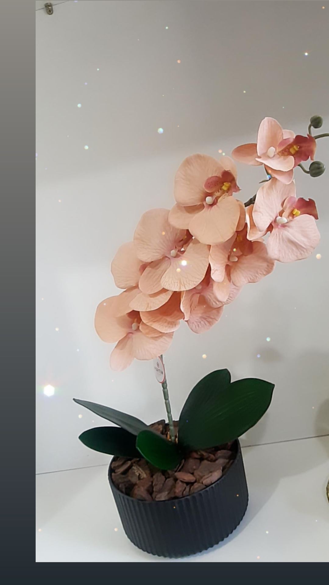 Presente de Dia das Mães