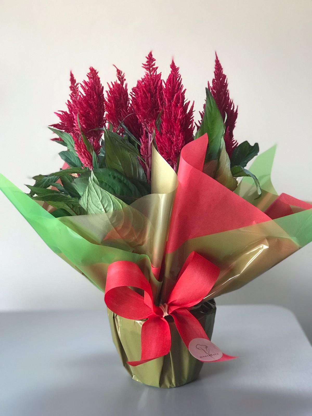Monteflora