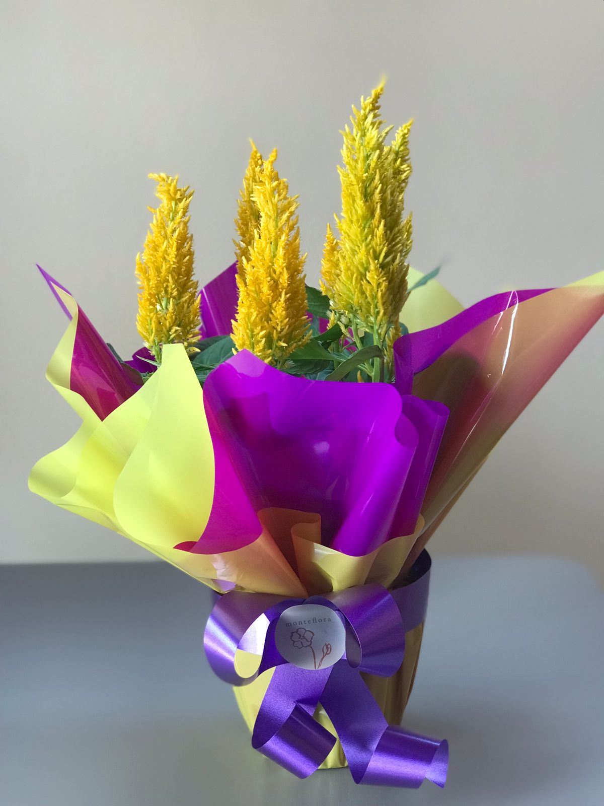 Monteflora