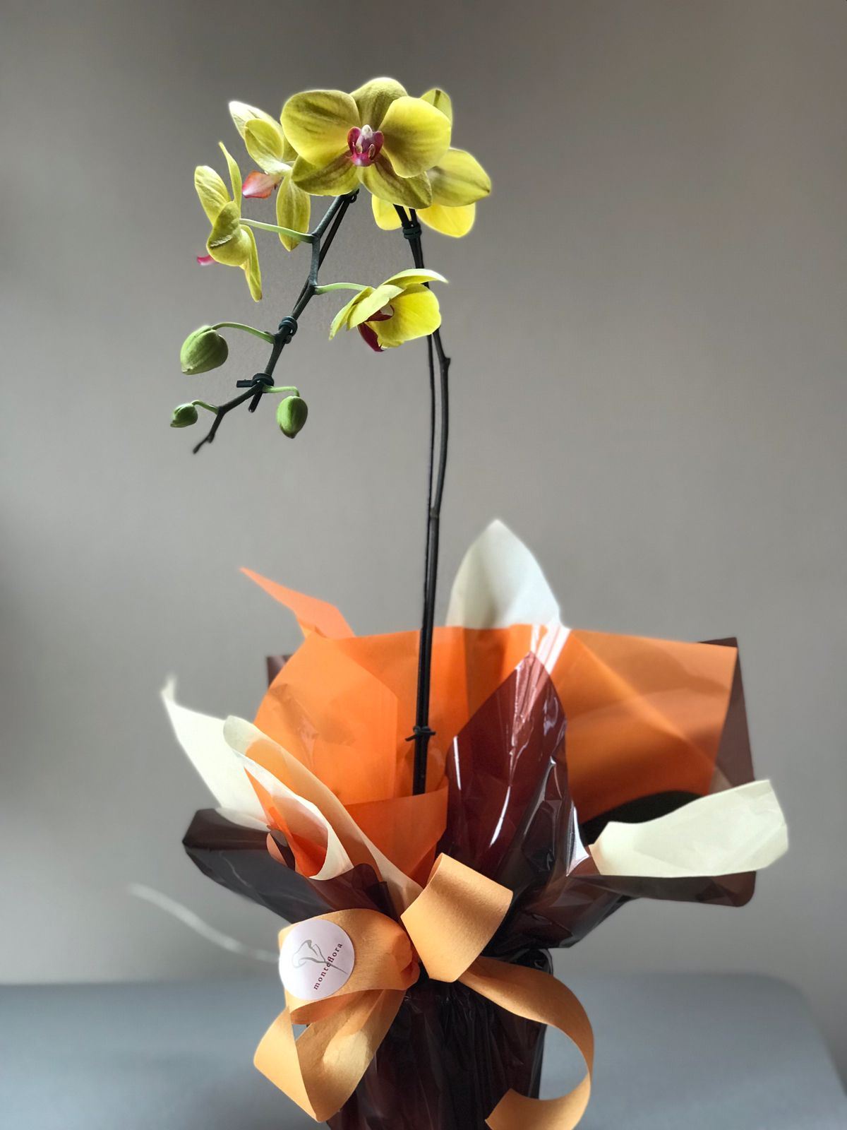 Monteflora