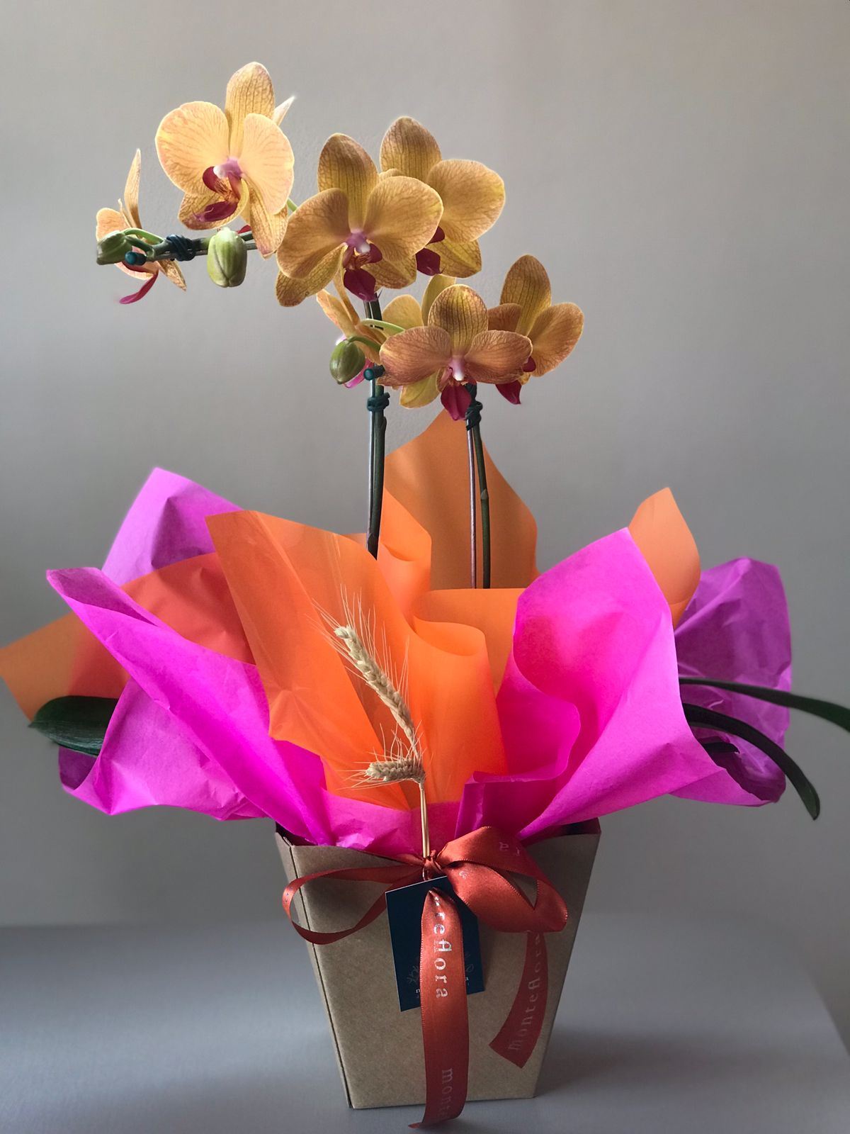 Monteflora
