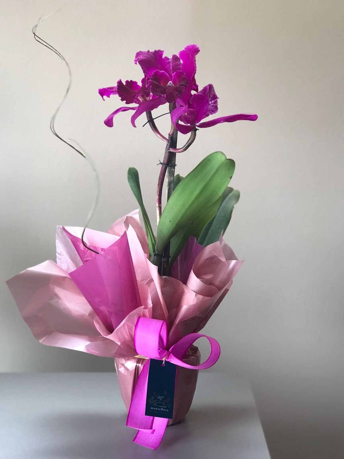 Monteflora