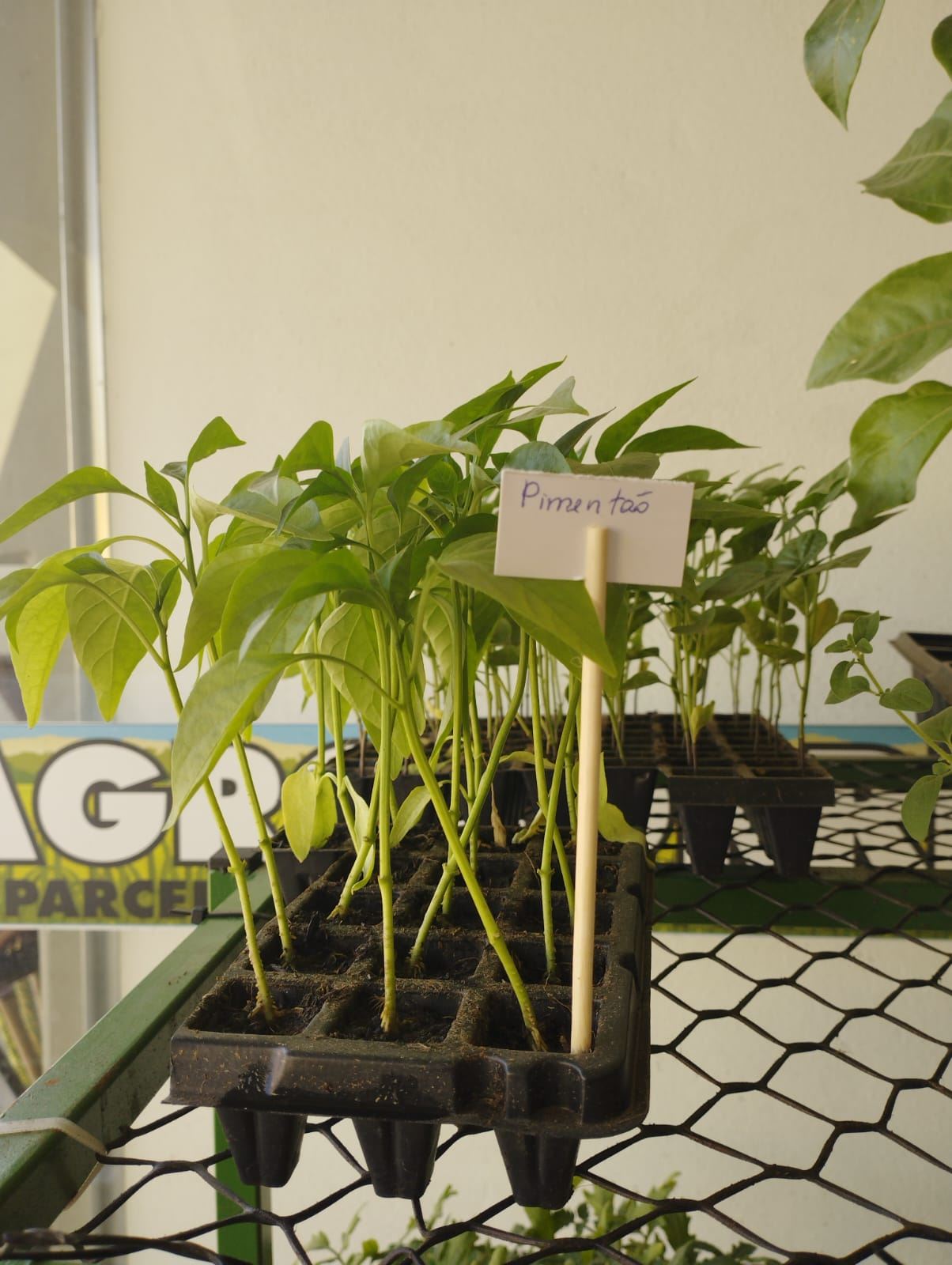 Agro Corrêa