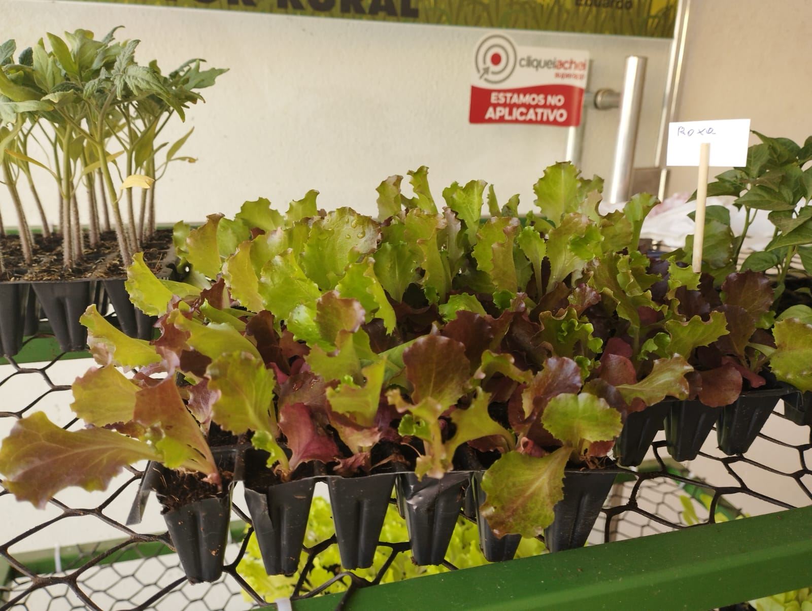 Agro Corrêa