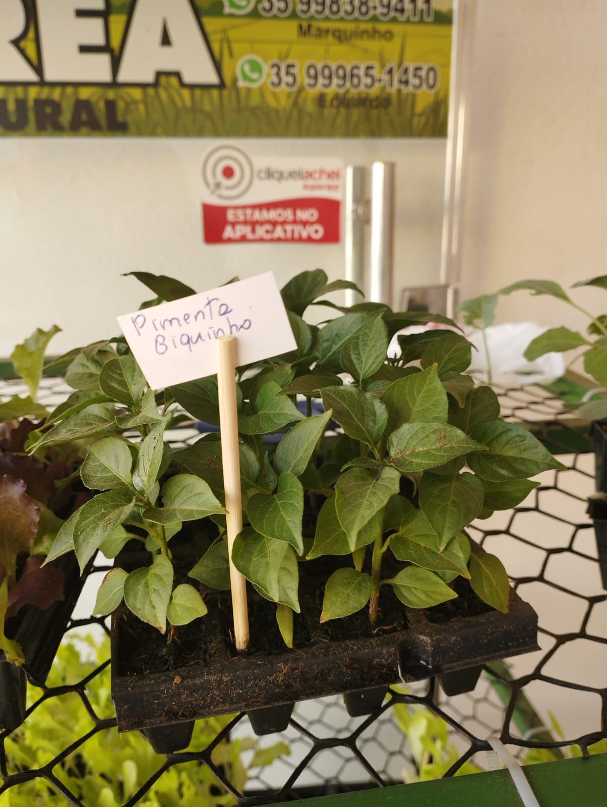 Agro Corrêa