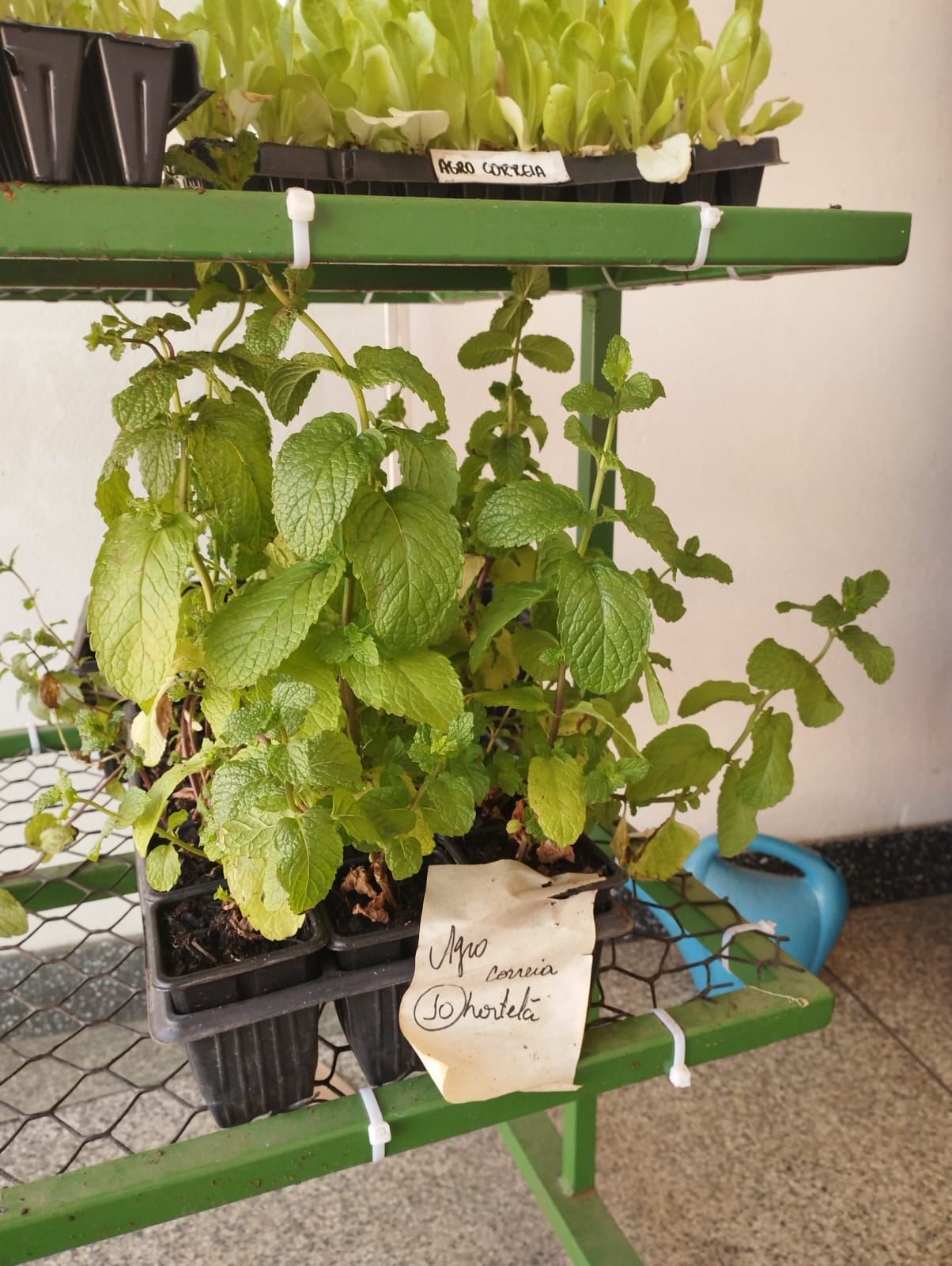 Agro Corrêa