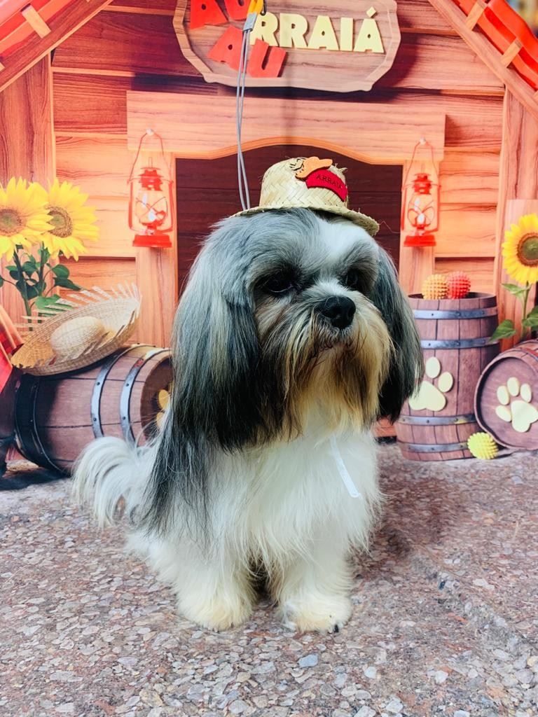 Ju Pet Estética Canina