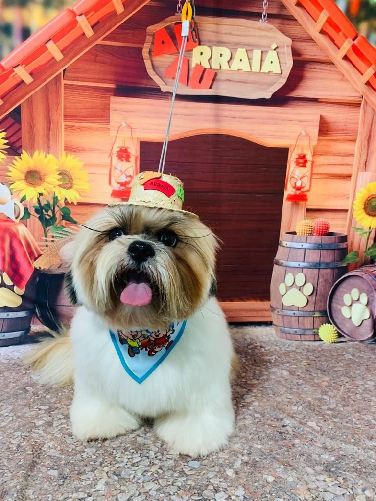 Ju Pet Estética Canina