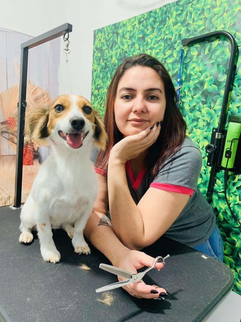 Ju Pet Estética Canina