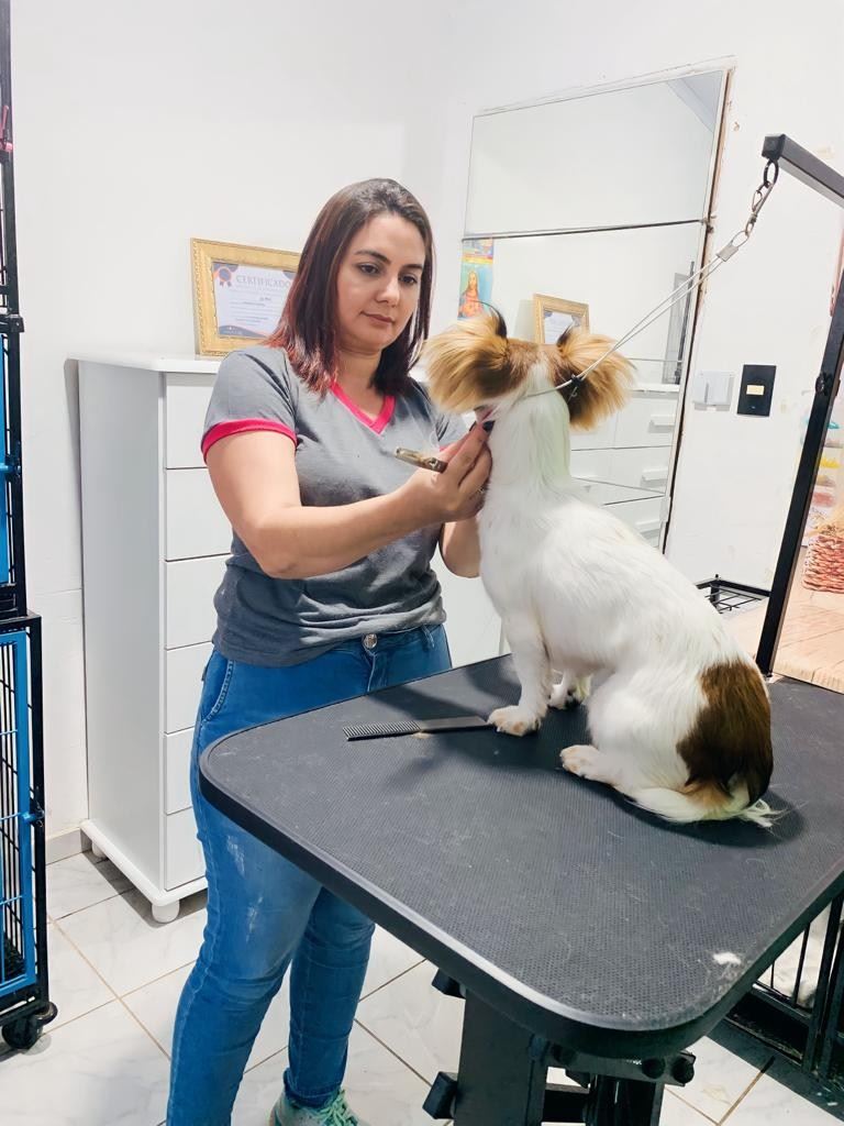 Ju Pet Estética Canina