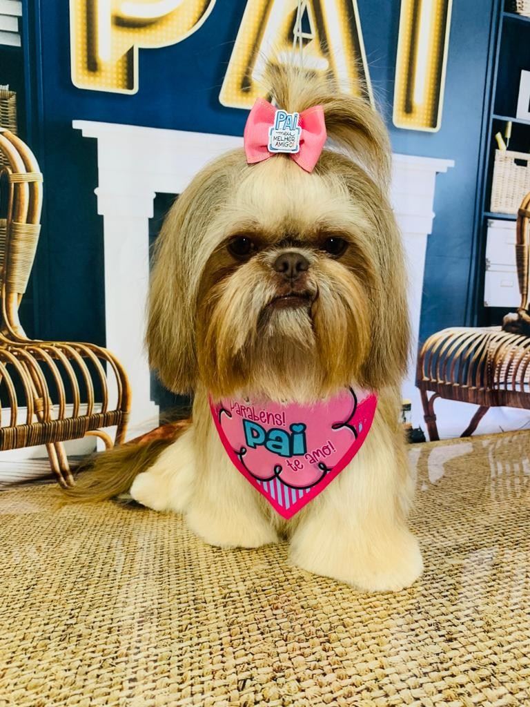 Ju Pet Estética Canina