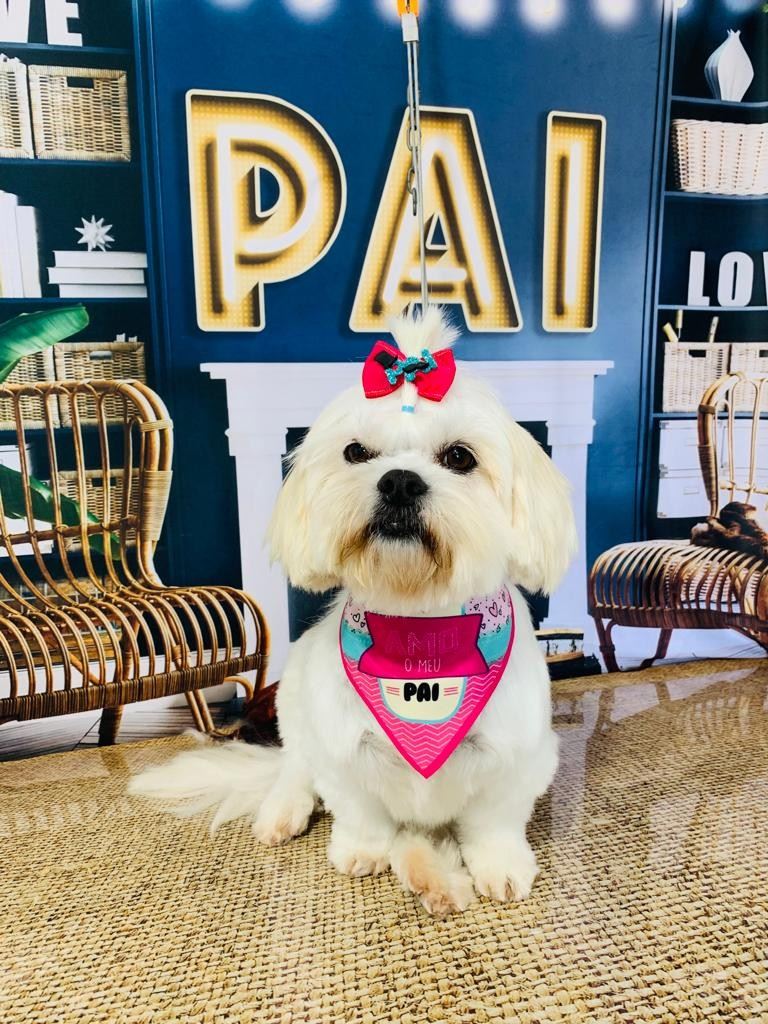 Ju Pet Estética Canina