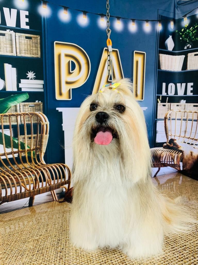 Ju Pet Estética Canina